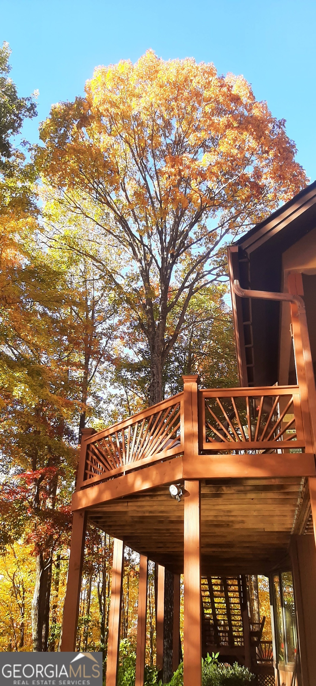 1289 Rainwater Trail Tiger GA 30576