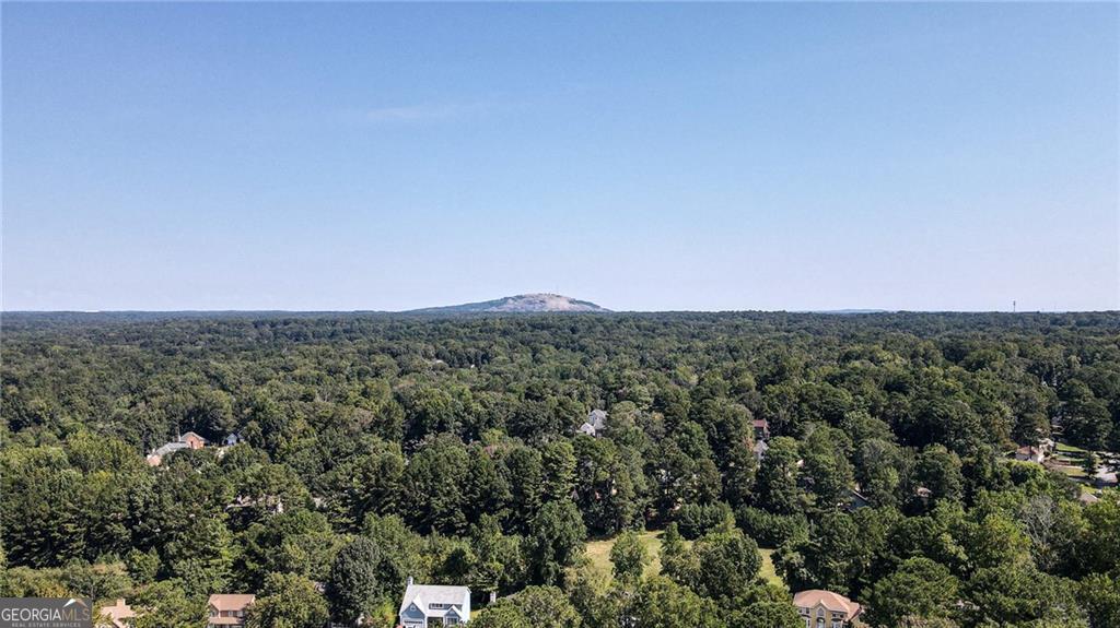 4938 Terrace Green Trace Stone Mountain GA 30088