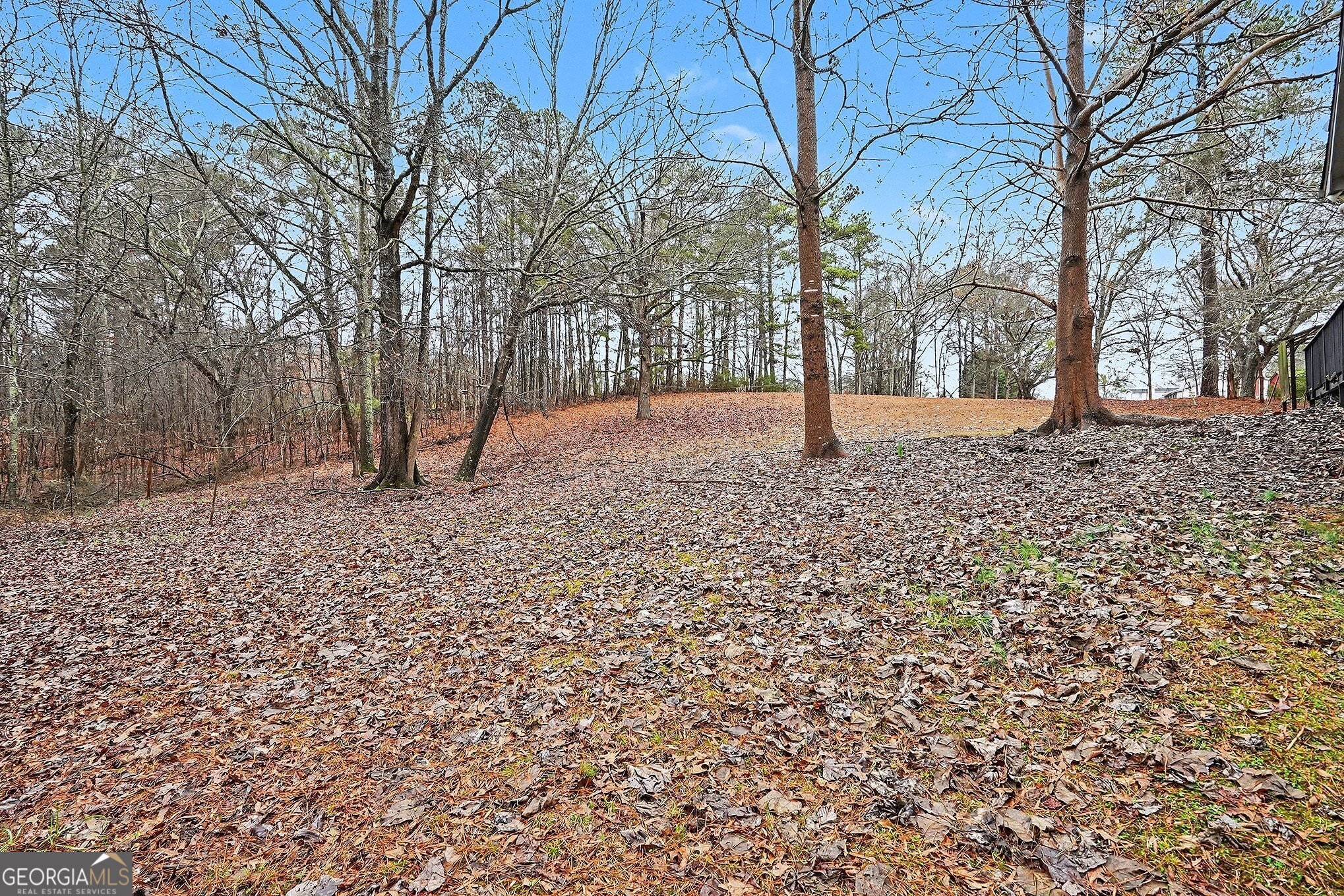 13789 Woolsey Road Hampton GA 30228
