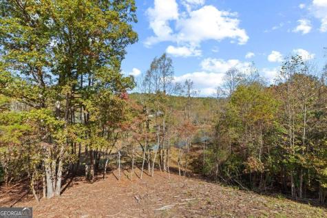 132 Coras View Blairsville GA 30512