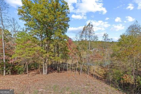 132 Coras View Blairsville GA 30512