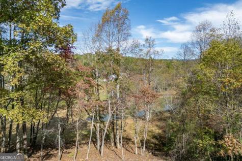 132 Coras View Blairsville GA 30512