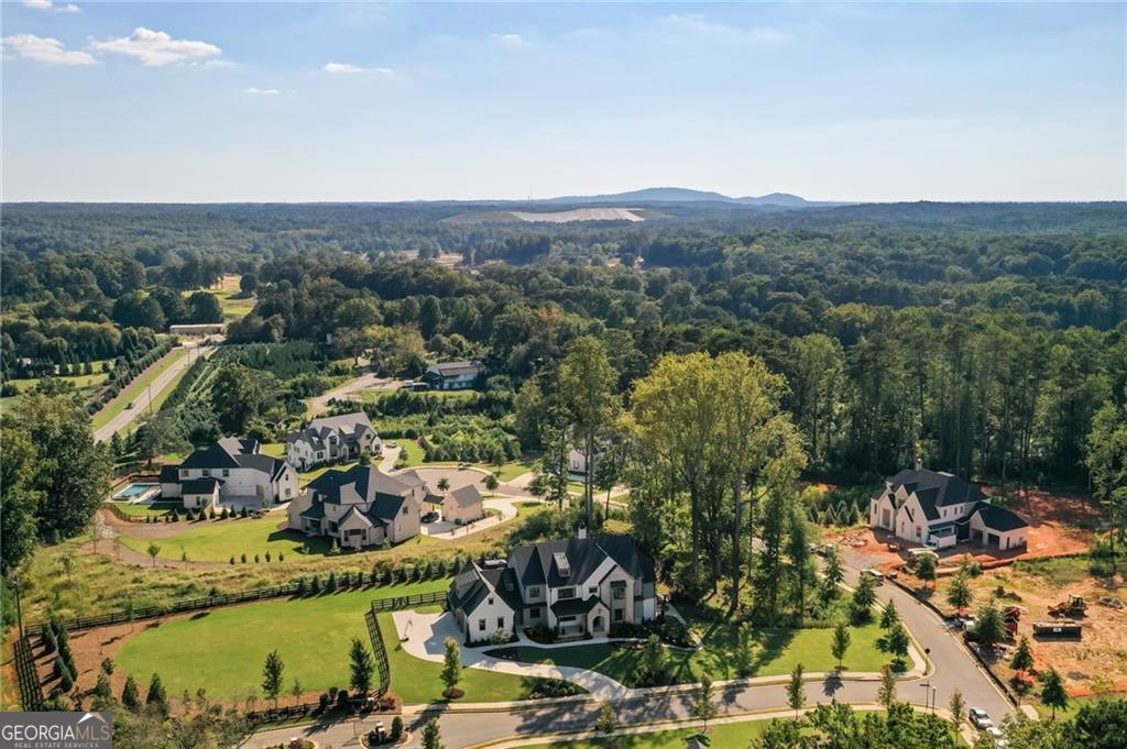 1050 Little River Lane Milton GA 30004