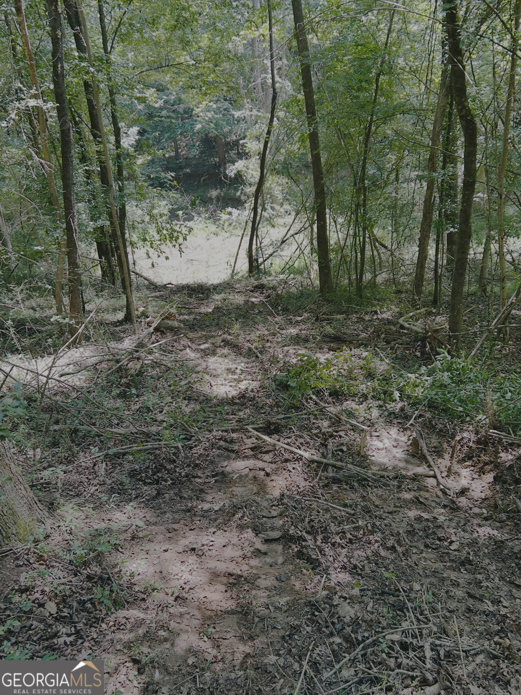 4542 E Hall Road Gainesville GA 30507