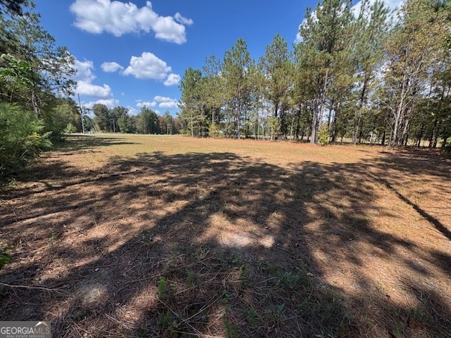 2470 Kitchen Road Dexter GA 31019
