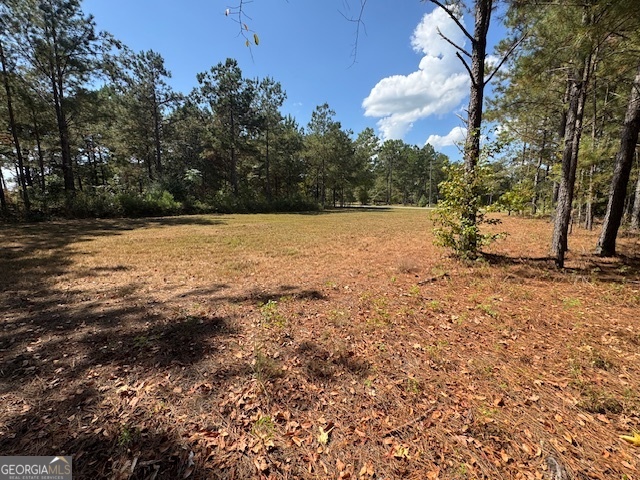 2470 Kitchen Road Dexter GA 31019