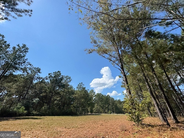 2470 Kitchen Road Dexter GA 31019