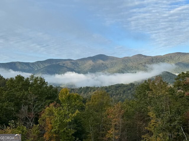 488 Mill Ridge Road Hiawassee GA 30546