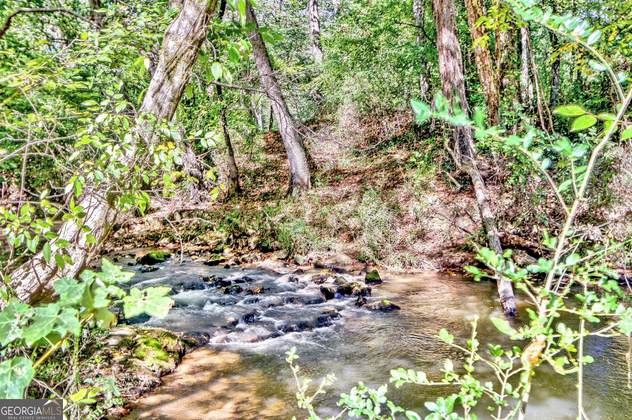 860 N Walkers Mill Road Griffin GA 30223