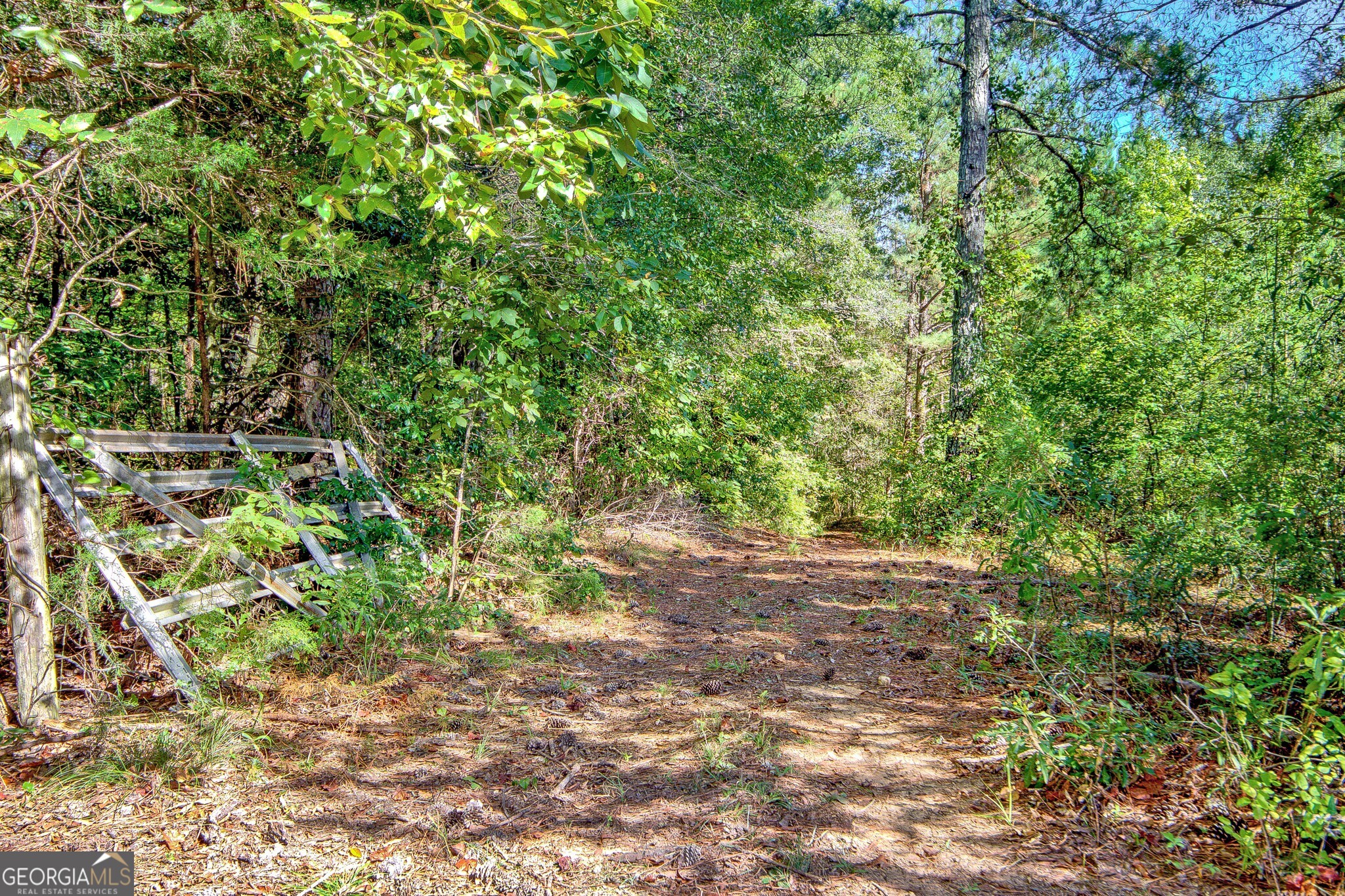 860 N Walkers Mill Road Griffin GA 30223