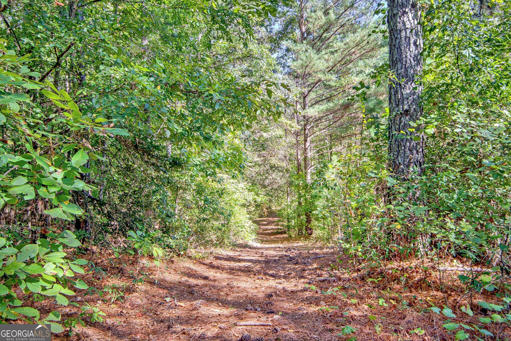 860 N Walkers Mill Road Griffin GA 30223