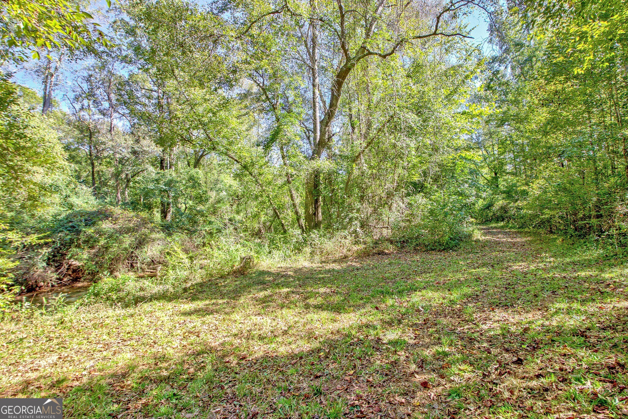 860 N Walkers Mill Road Griffin GA 30223