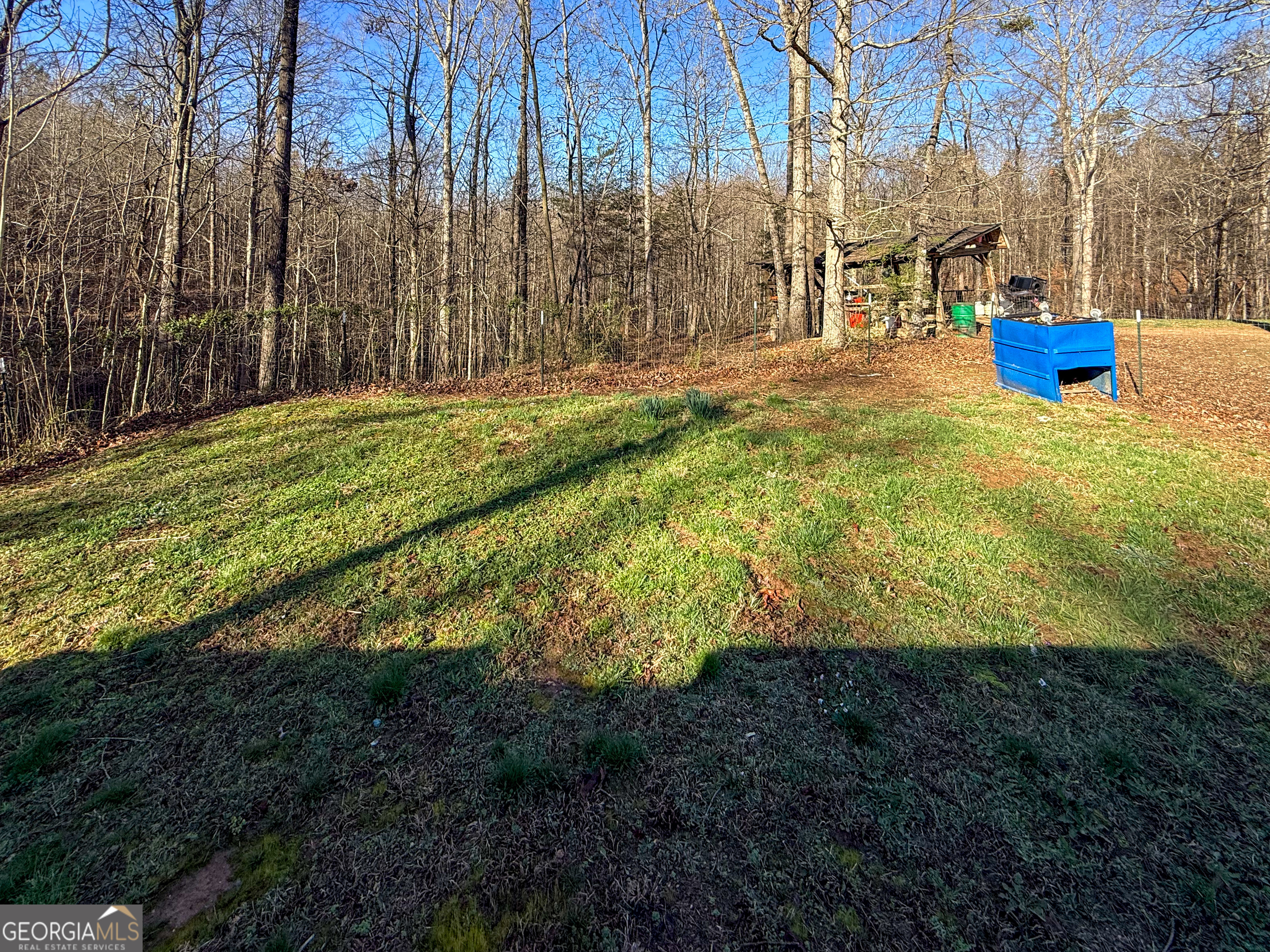 1177 Twin River Orchard Road Demorest GA 30535