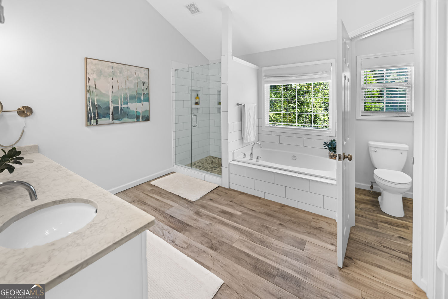 701 Silver Mist Way Canton GA 30114