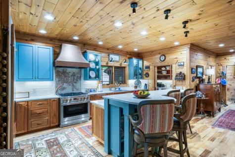 3383 Indian Springs Drive Hiawassee GA 30546