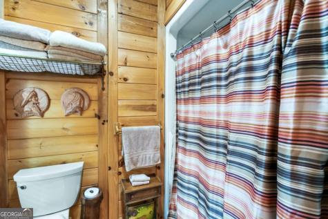 3383 Indian Springs Drive Hiawassee GA 30546