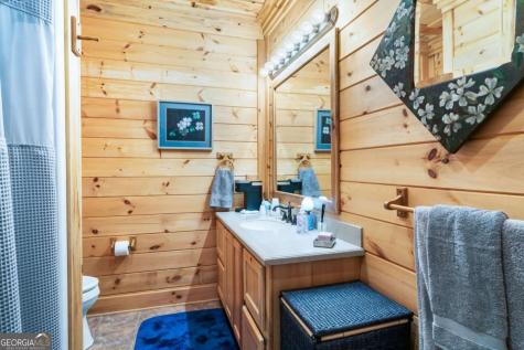 3383 Indian Springs Drive Hiawassee GA 30546