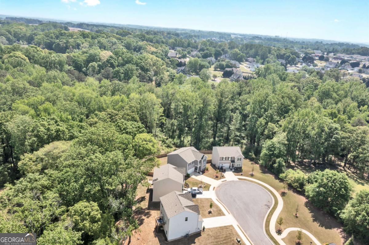 289 Pond Court Hoschton GA 30548