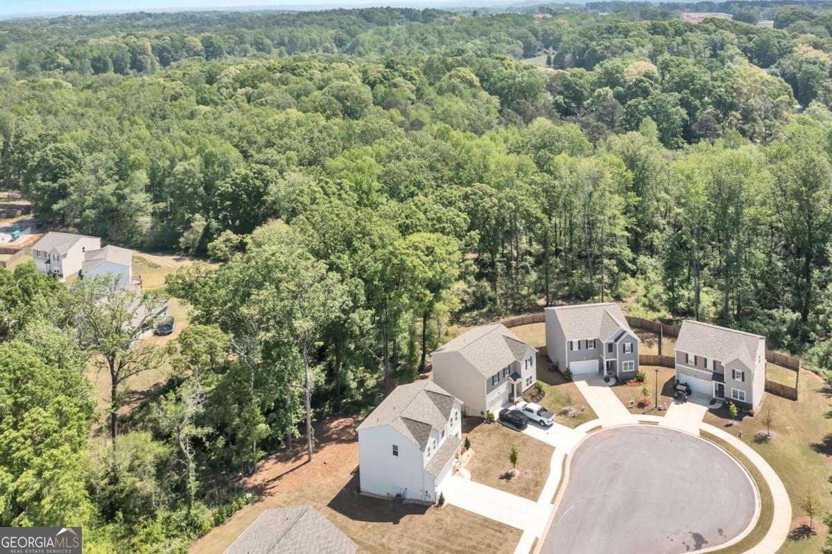 289 Pond Court Hoschton GA 30548