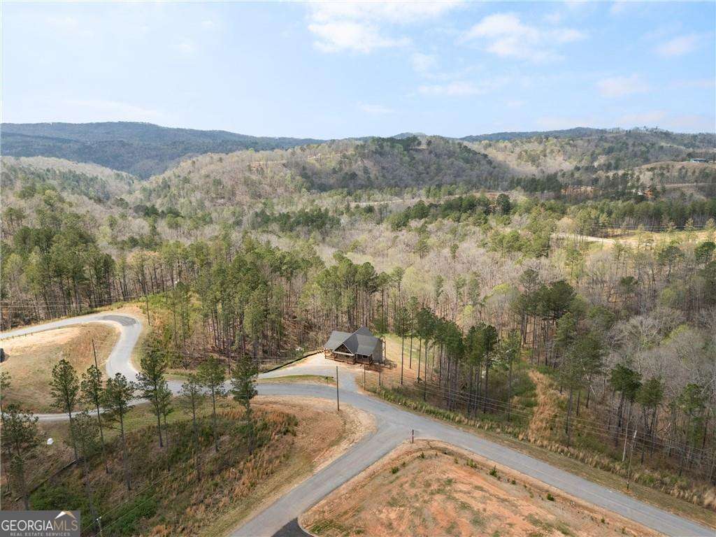 2956 Blalock Mountain Road Talking Rock GA 30175