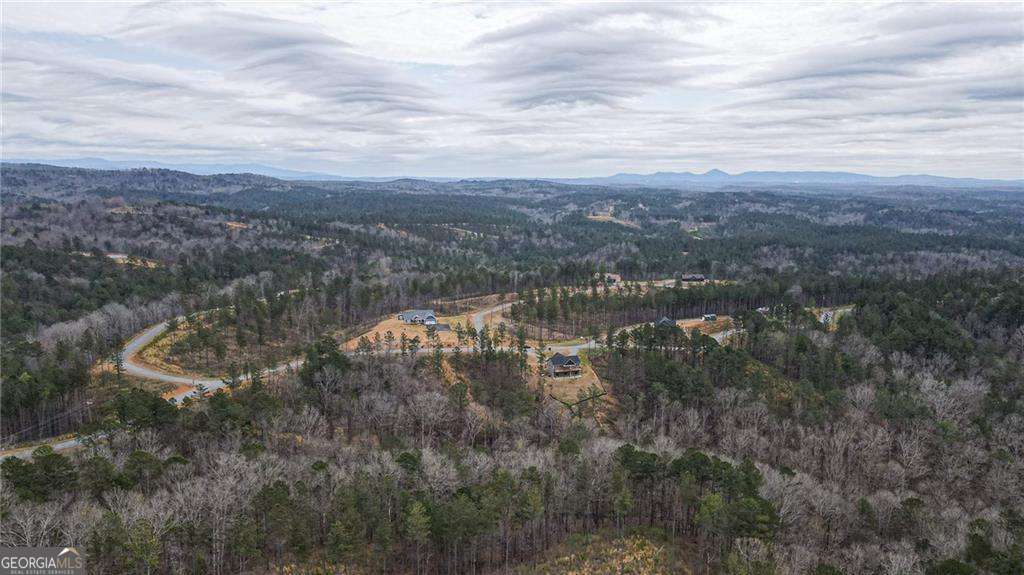 2956 Blalock Mountain Road Talking Rock GA 30175