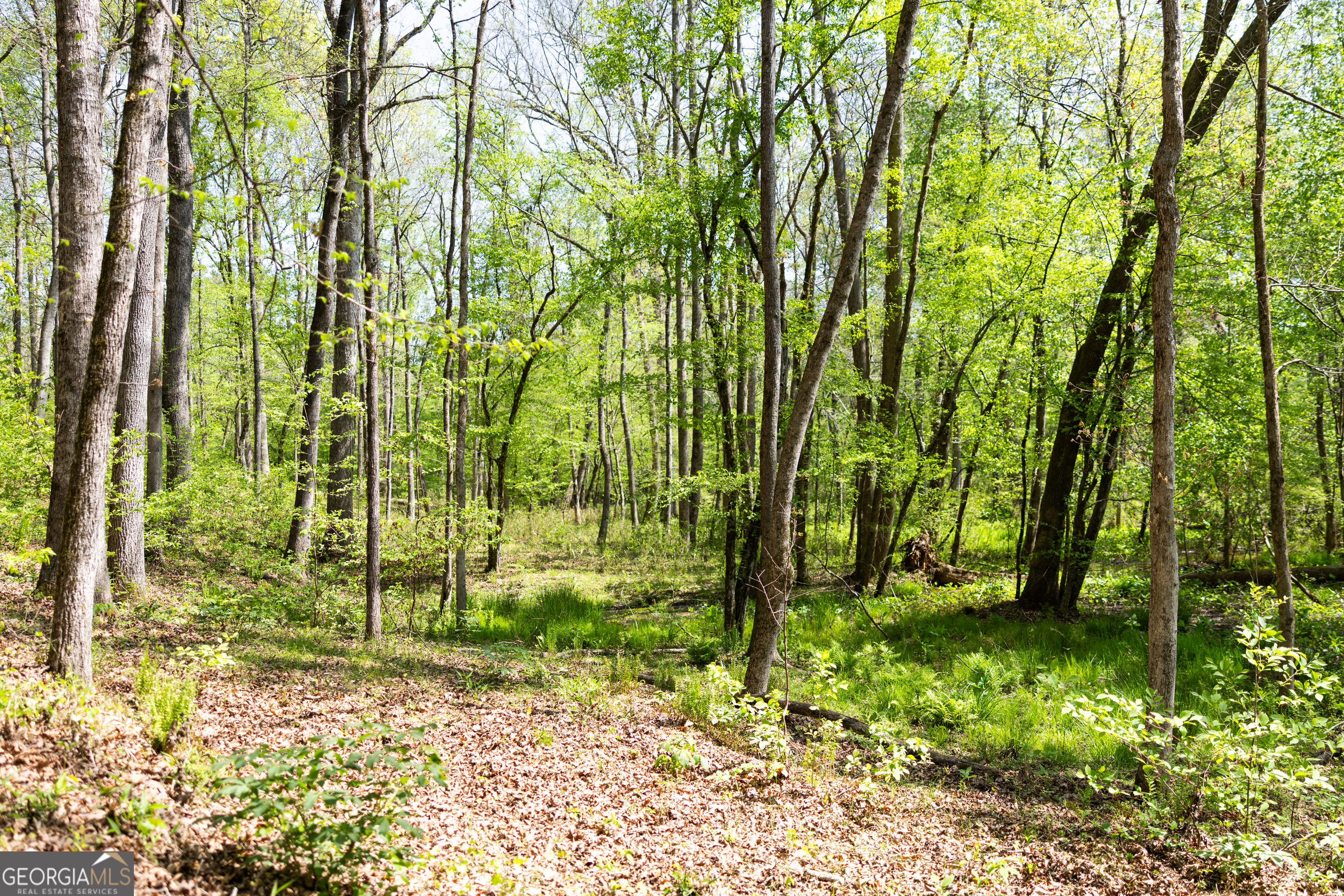 1020 Brenda Lane Madison GA 30650