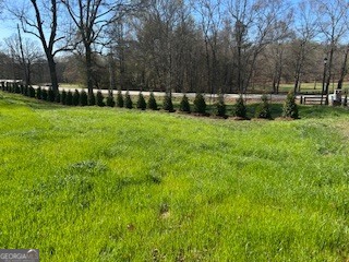 30 River Overlook Way Jefferson GA 30549