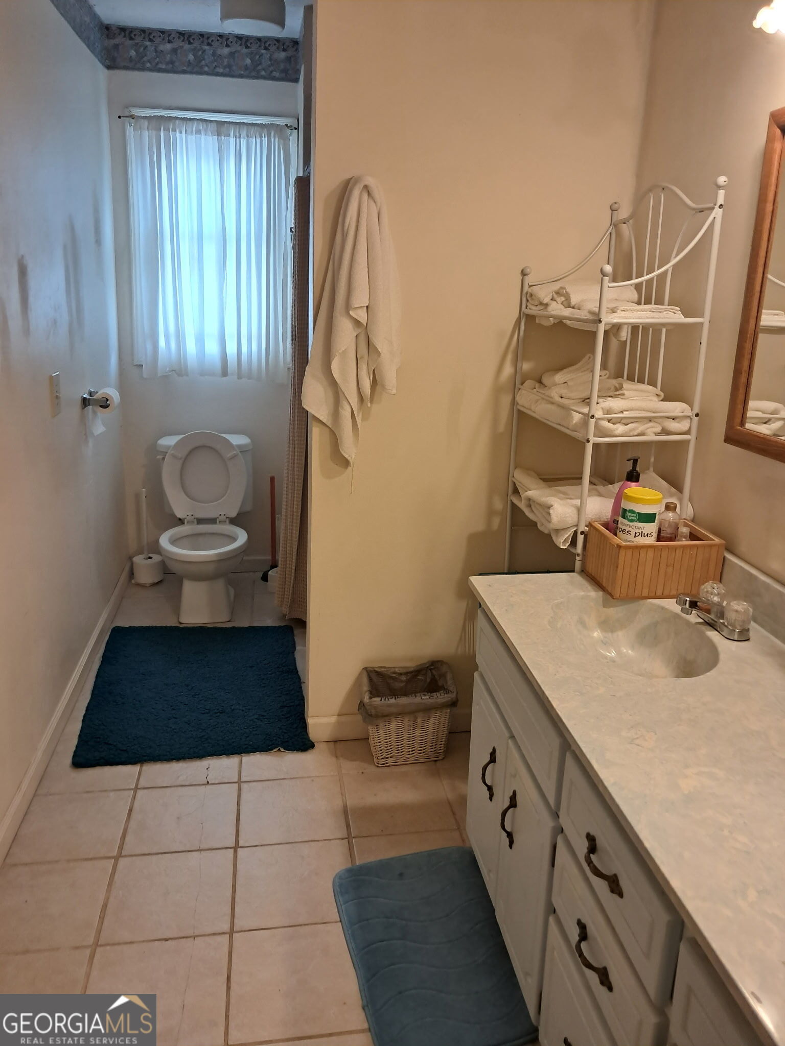 3317 Hebron Way Ellenwood GA 30294