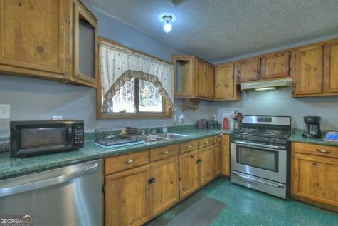 160 Moores Road Mineral Bluff GA 30559