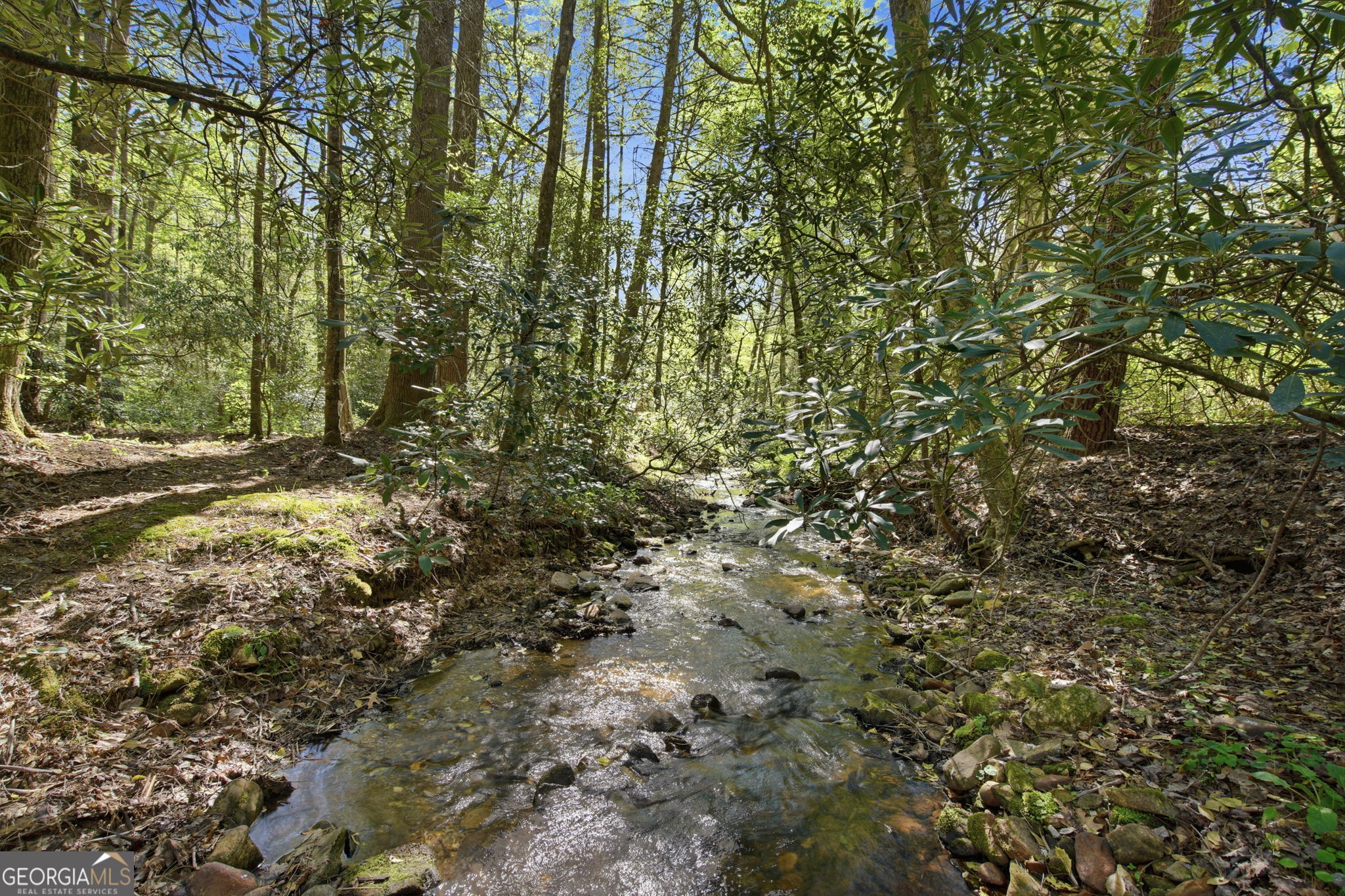 15 Salmon Road Blairsville GA 30512