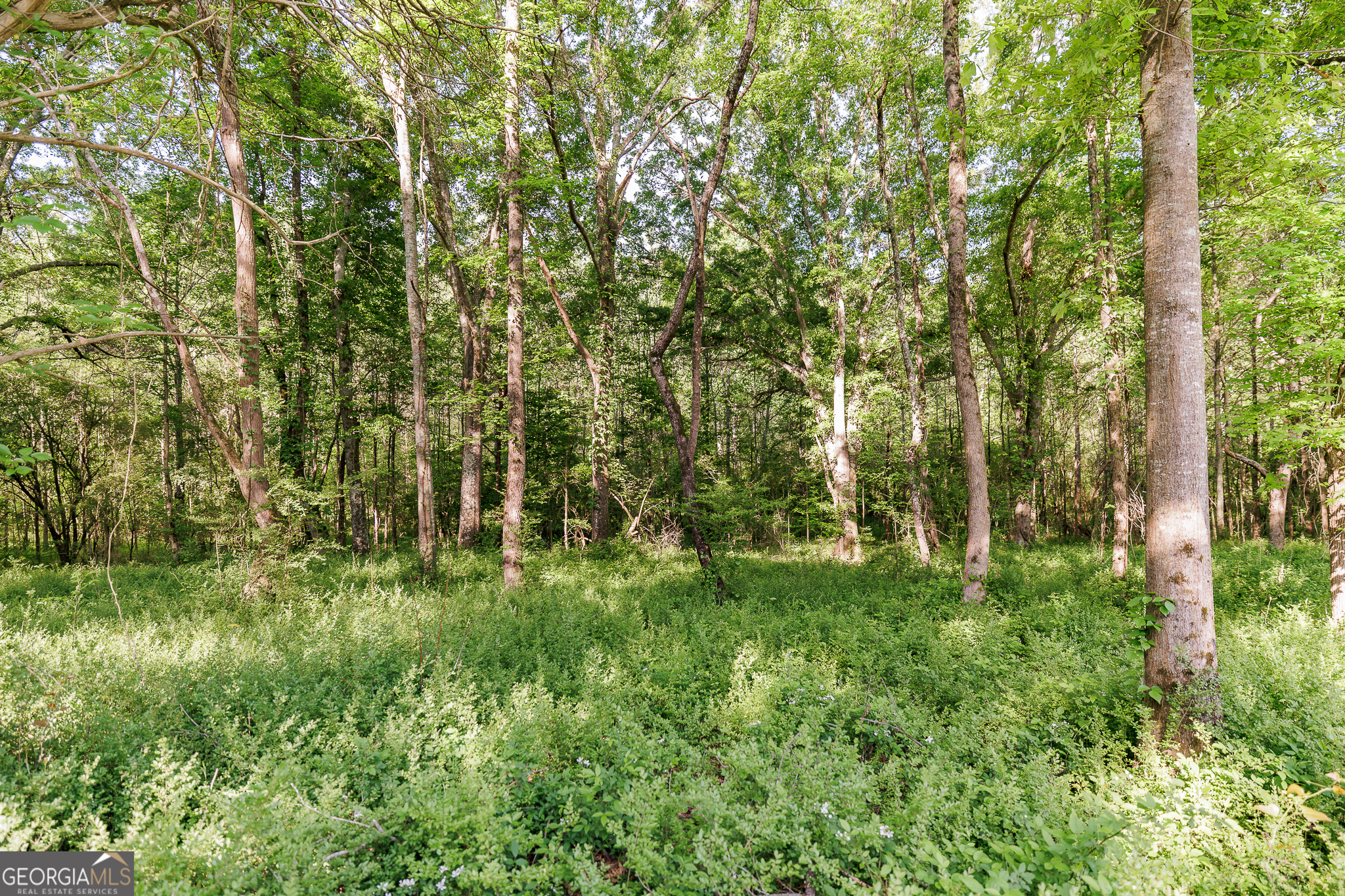 271 Oxmoor Winterville GA 30683