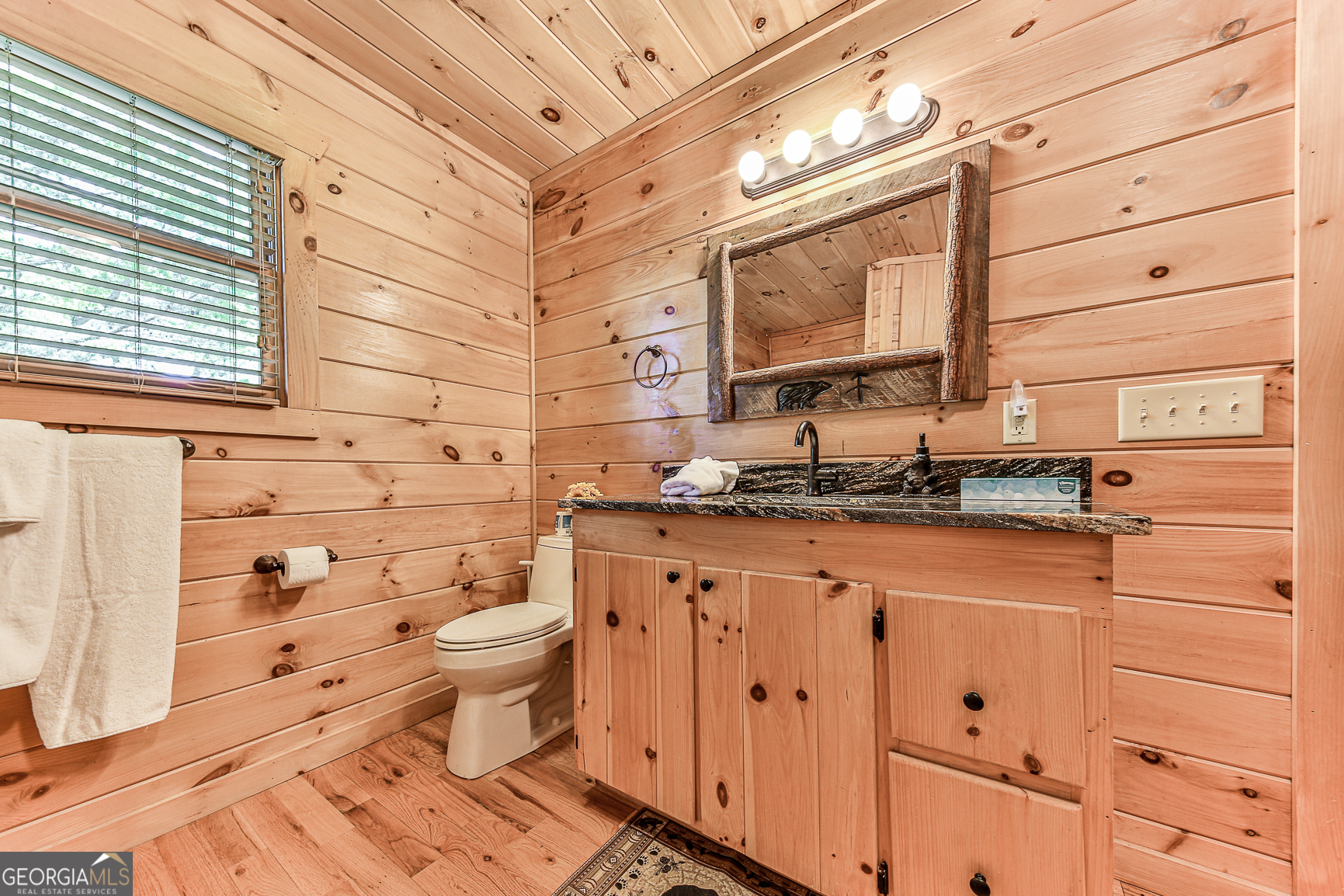 88 Black Gum Lane Blue Ridge GA 30513