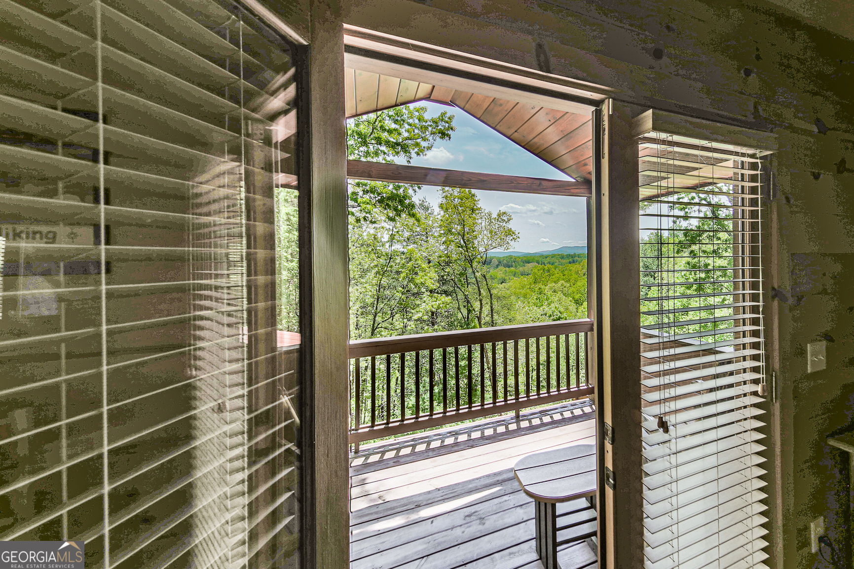 88 Black Gum Lane Blue Ridge GA 30513