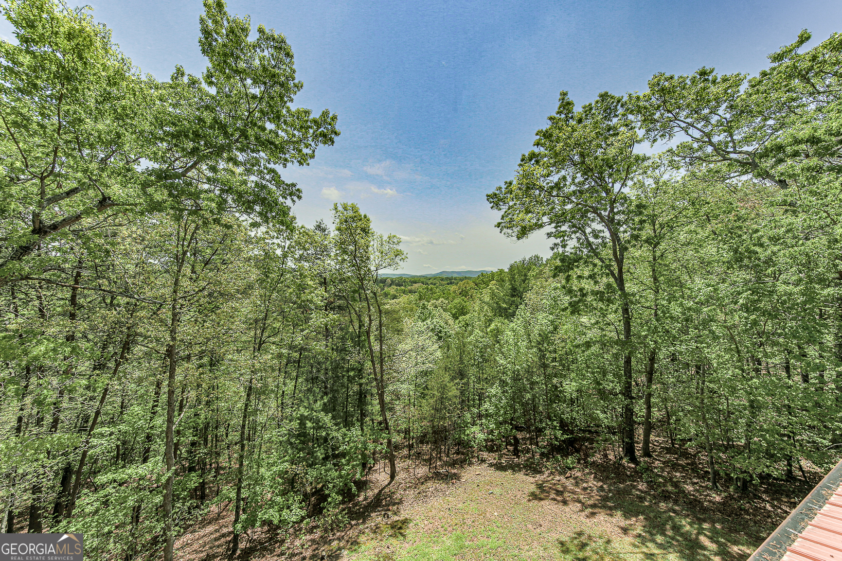 88 Black Gum Lane Blue Ridge GA 30513