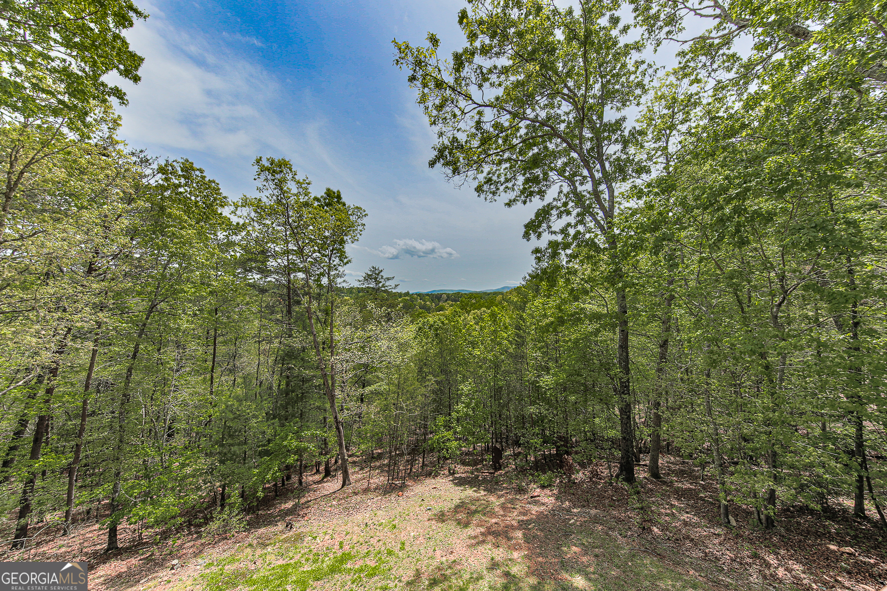 88 Black Gum Lane Blue Ridge GA 30513
