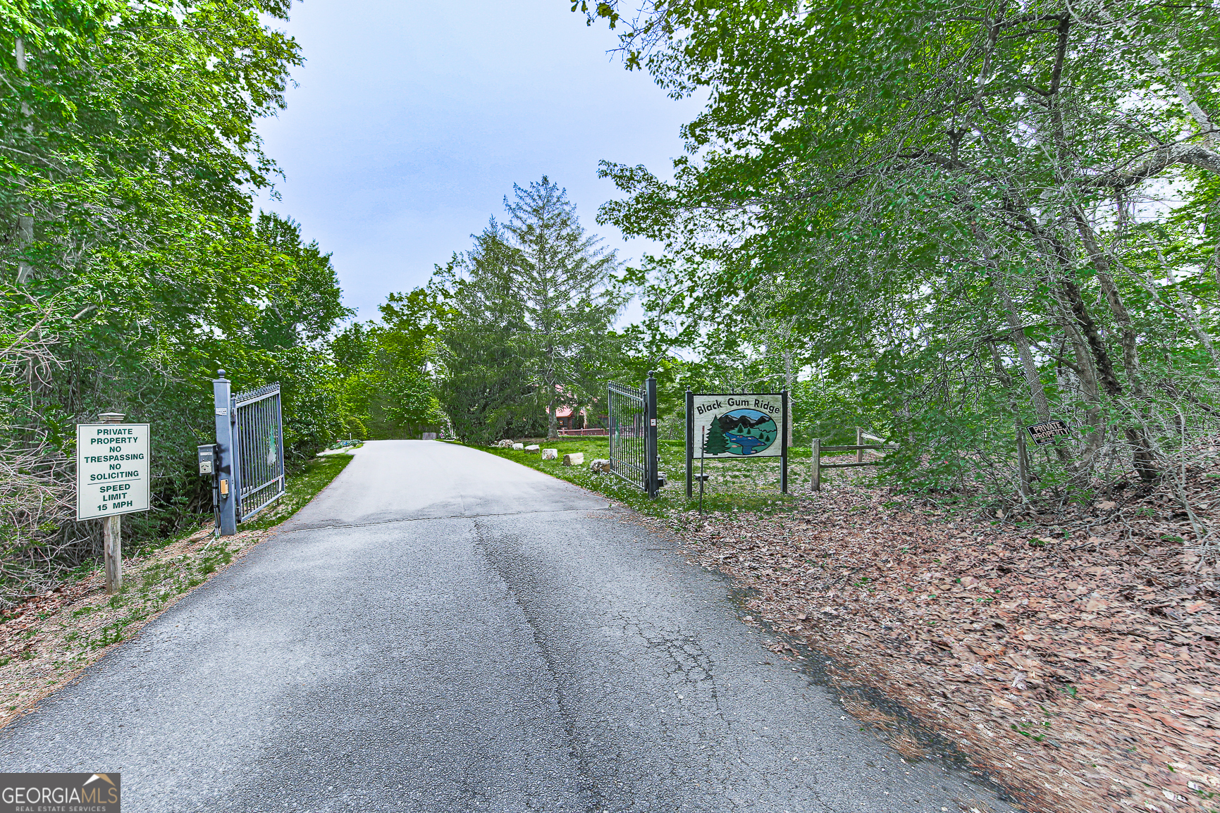 88 Black Gum Lane Blue Ridge GA 30513