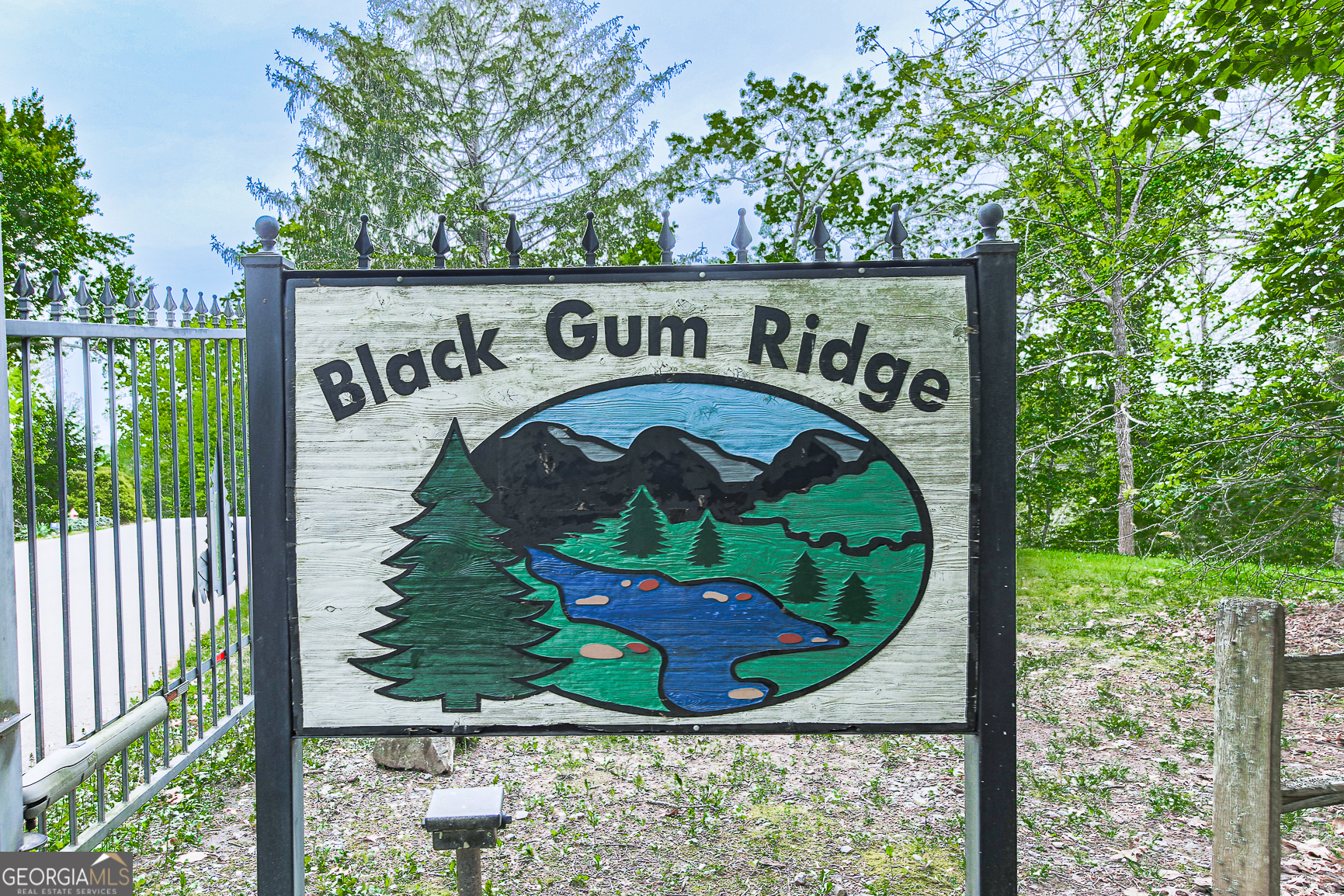 88 Black Gum Lane Blue Ridge GA 30513