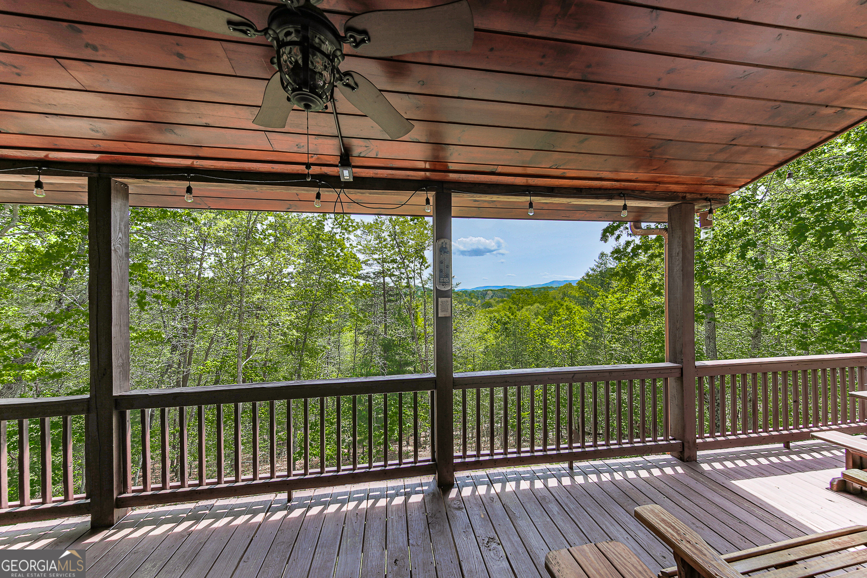 88 Black Gum Lane Blue Ridge GA 30513