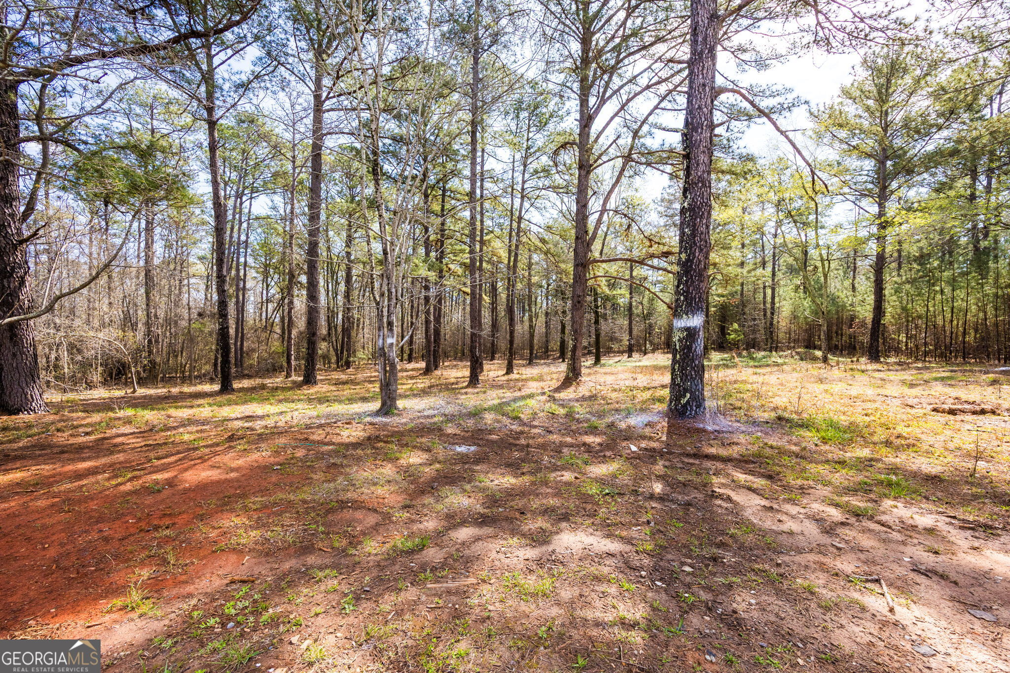 137 Buck Road Gray GA 31032