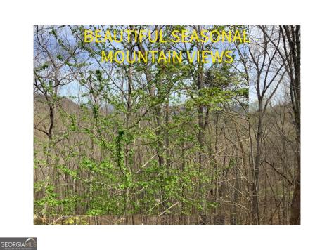 7026 Peebles Road Young Harris GA 30582