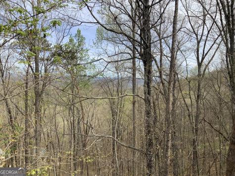 7026 Peebles Road Young Harris GA 30582