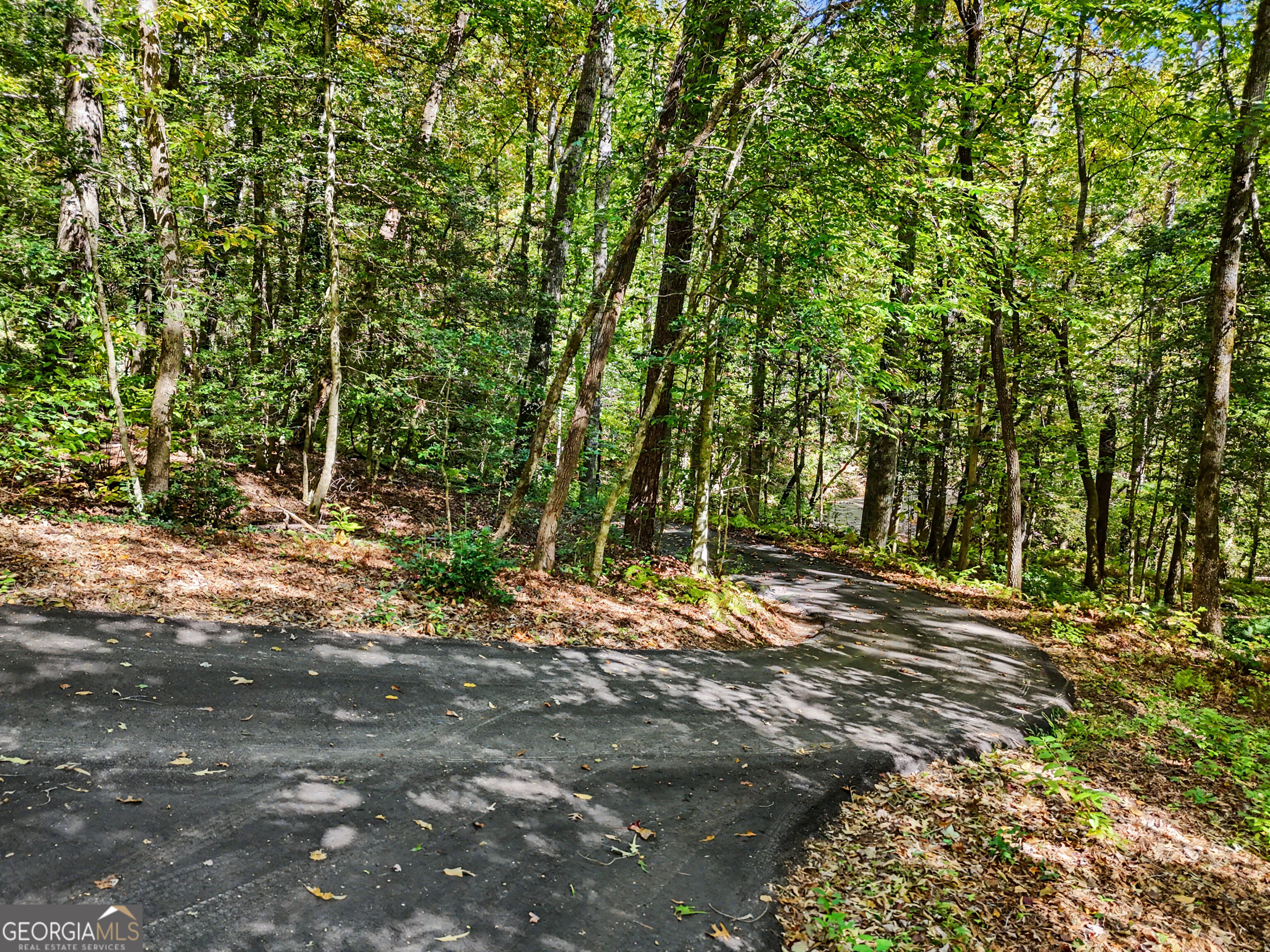 596 Moses Road Rabun Gap GA 30568