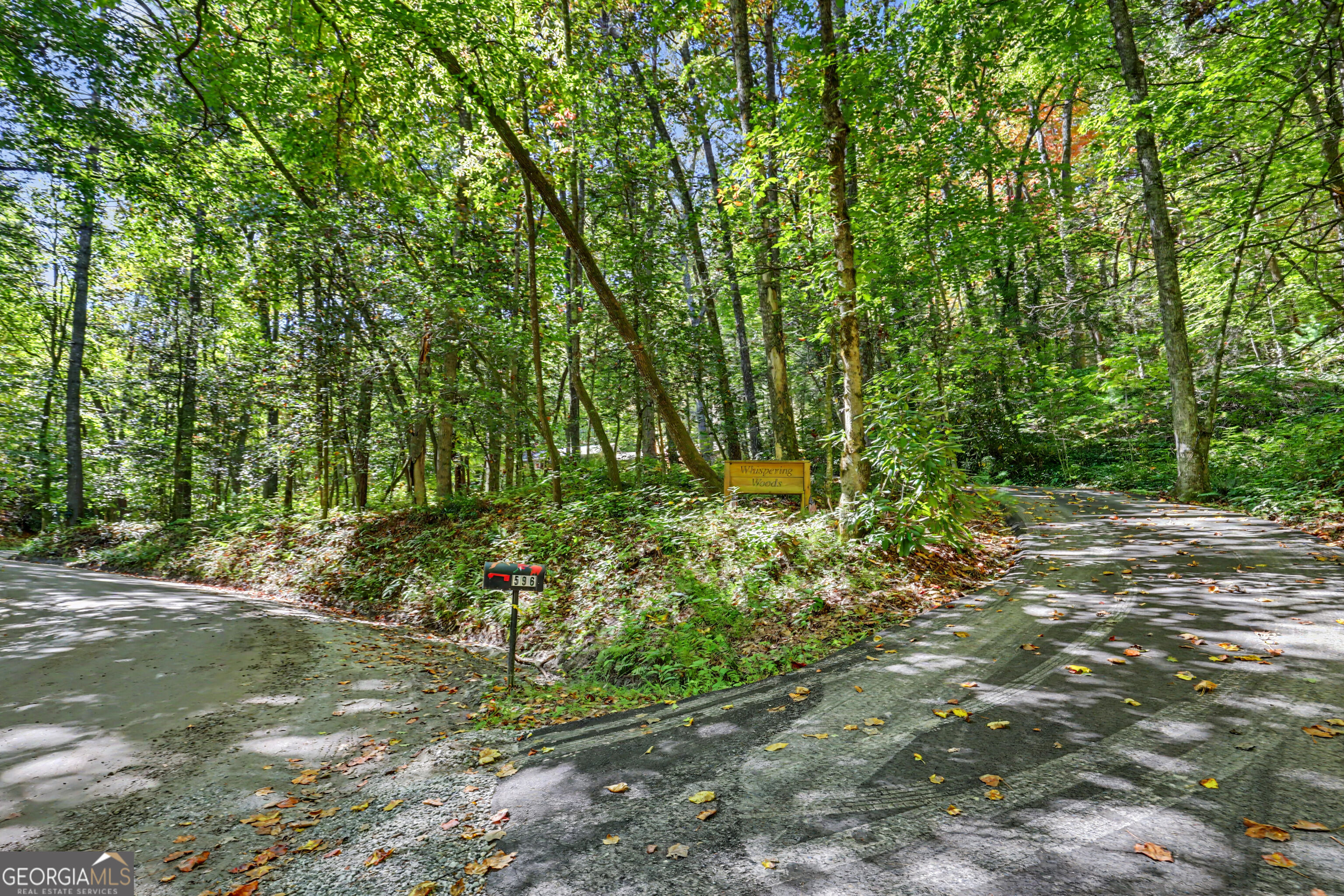 596 Moses Road Rabun Gap GA 30568