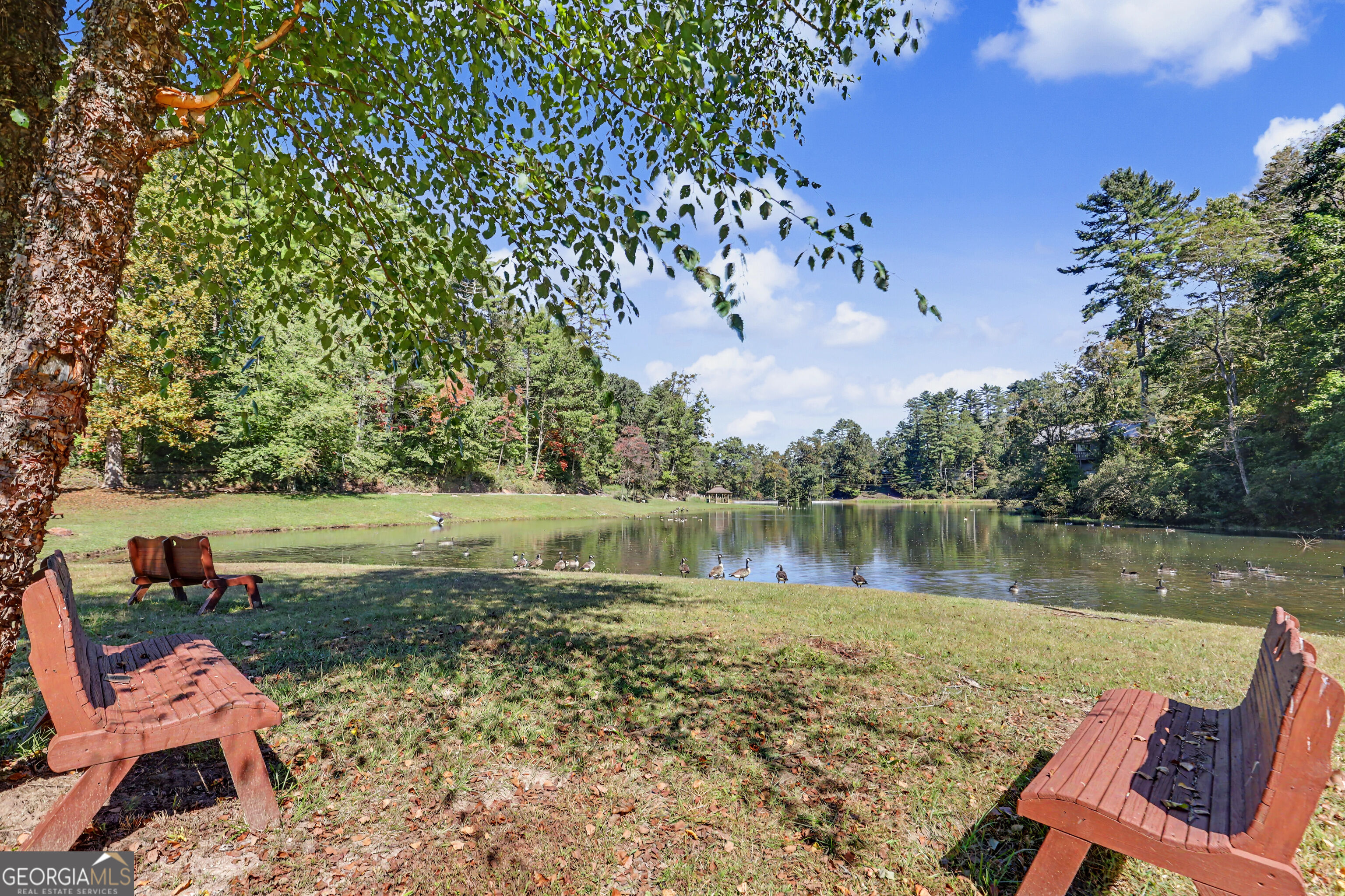 596 Moses Road Rabun Gap GA 30568