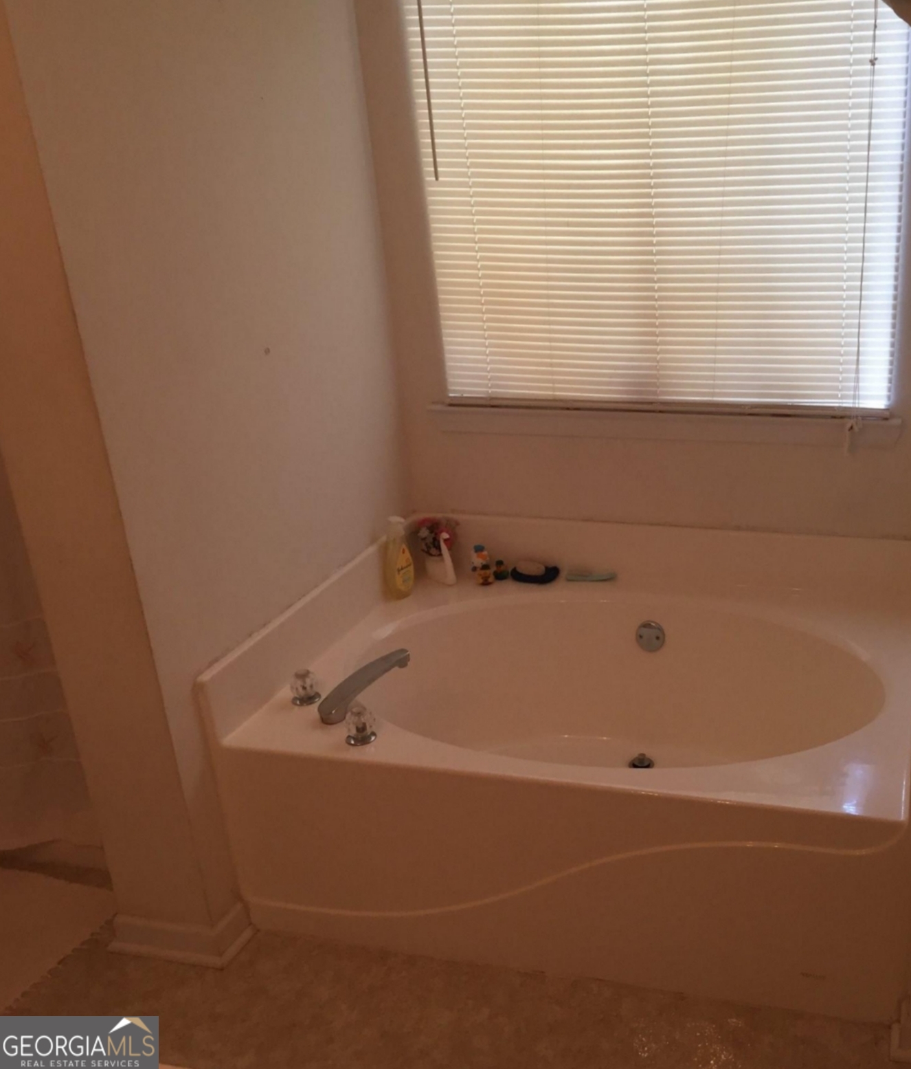 1193 New Hope Road Locust Grove GA 30248