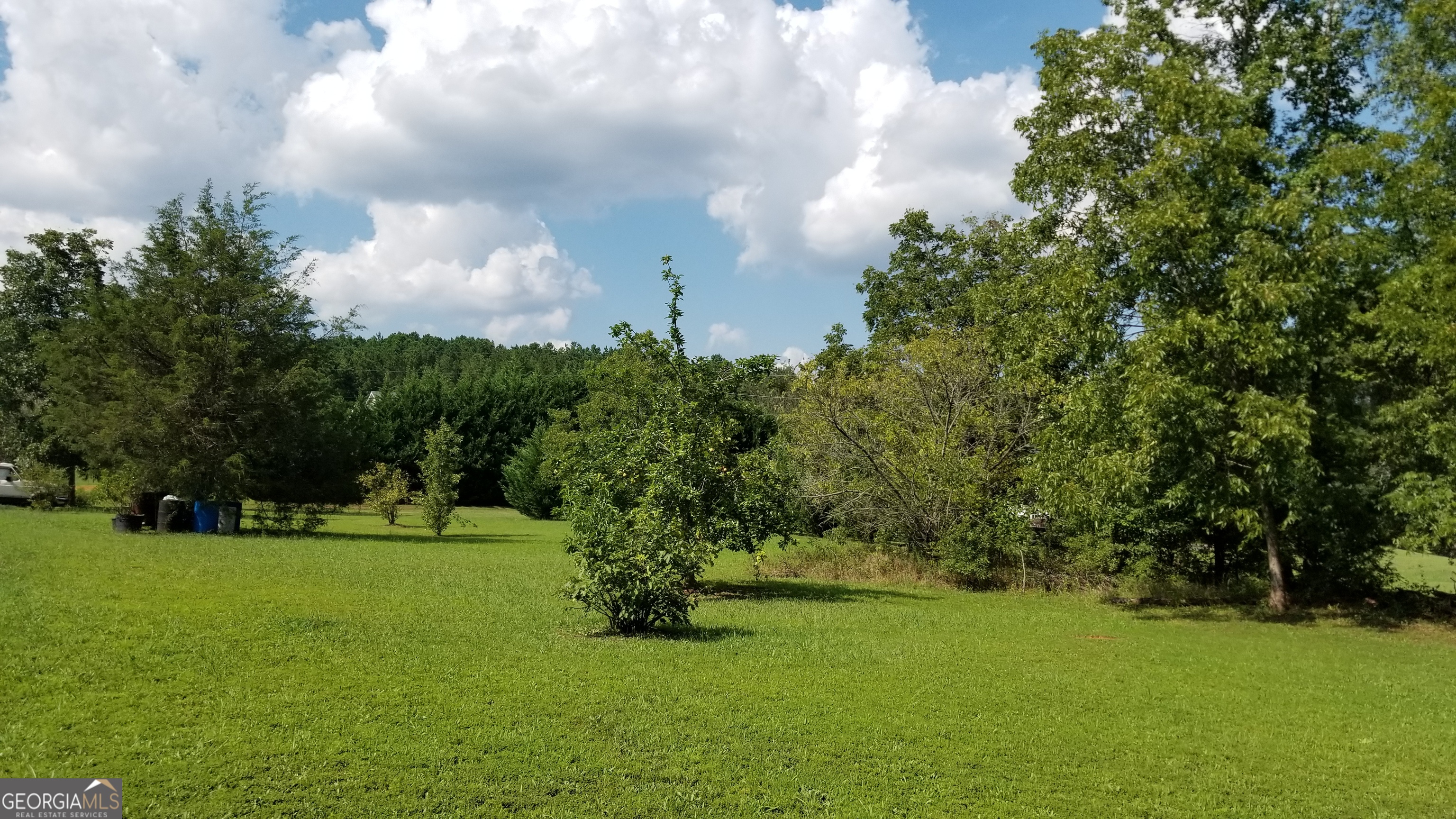 1193 New Hope Road Locust Grove GA 30248