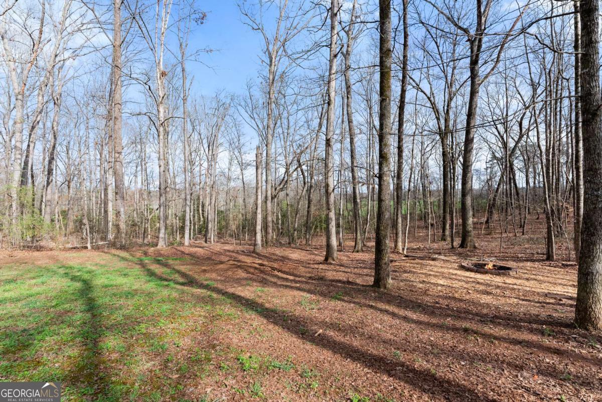 5812 Shadow Oaks Drive Murrayville GA 30564
