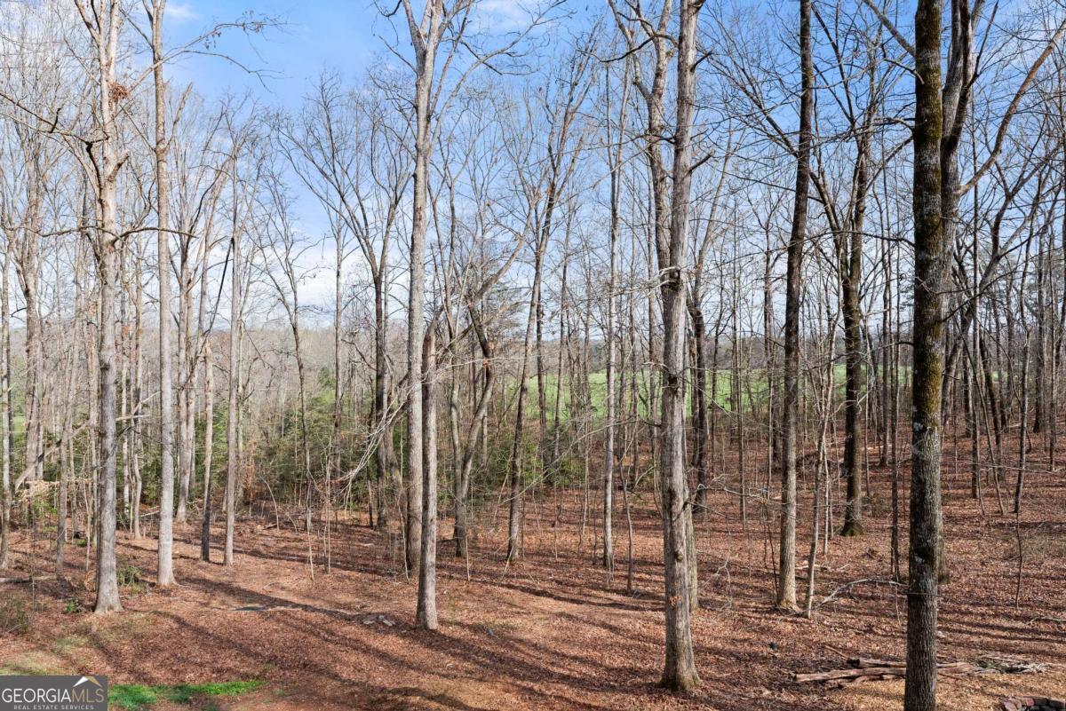 5812 Shadow Oaks Drive Murrayville GA 30564