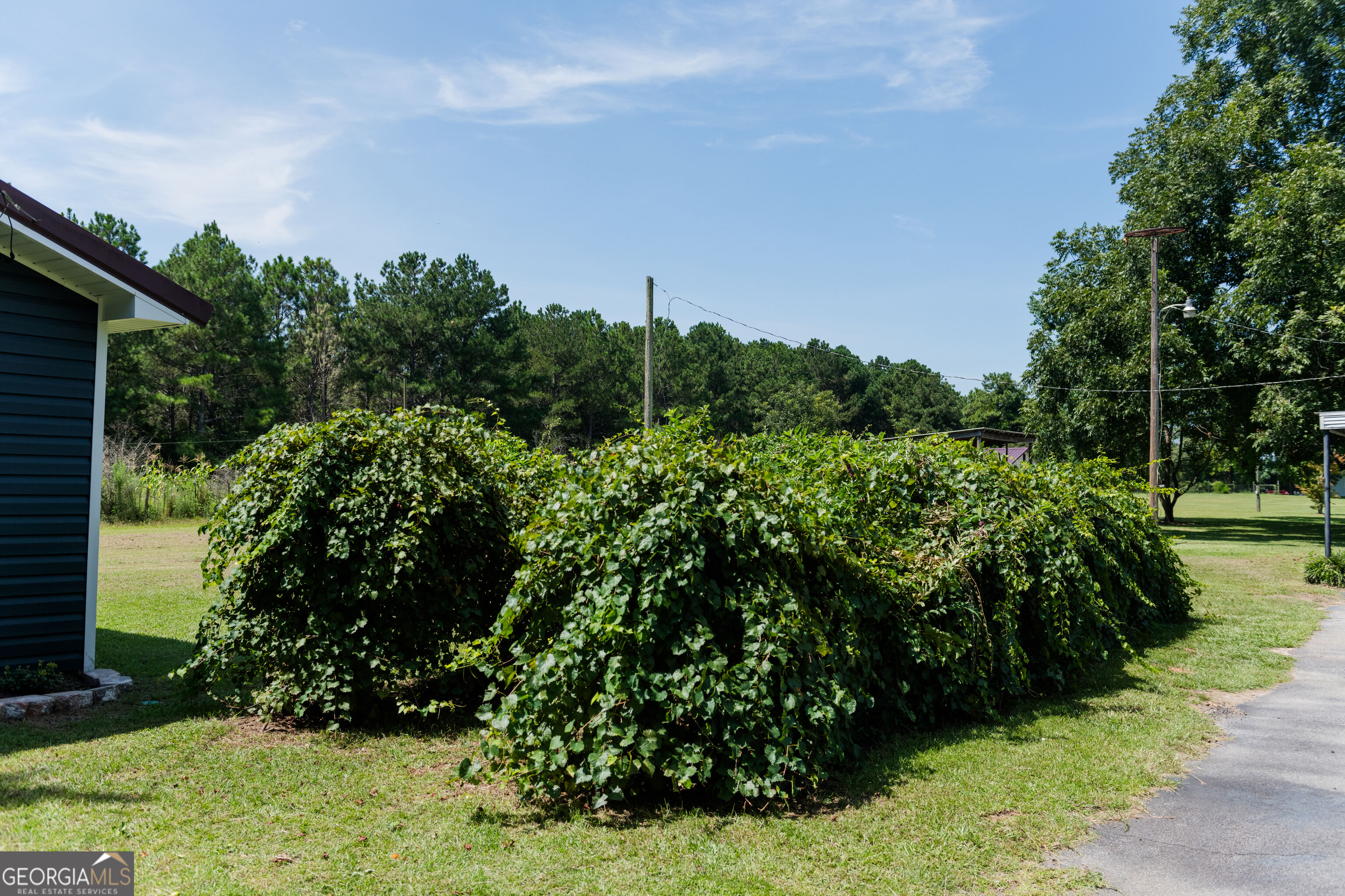 1364 Tommy Purvis Jr Road Reynolds GA 31076