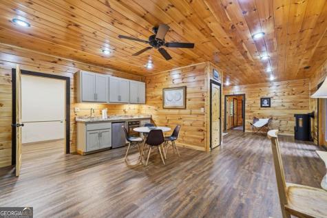 350 Kensington Drive Mineral Bluff GA 30559